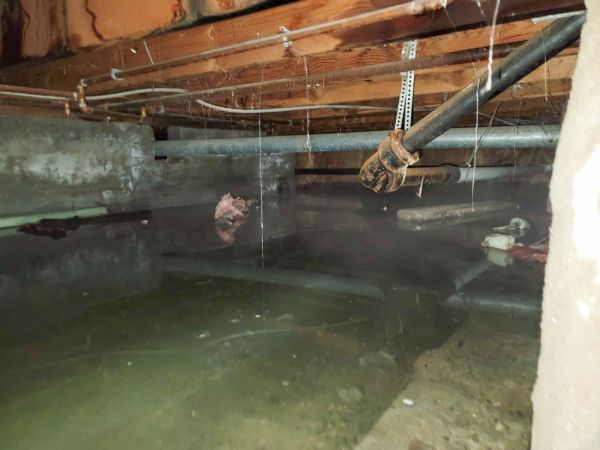 Cost of Crawlspace Drainage in Wilmington